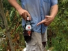 customer-in-indonesia-with-muleshoe-holstar-beer-holster